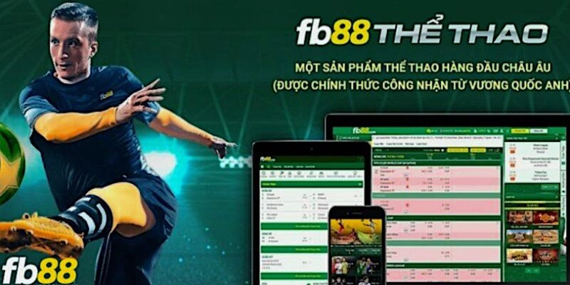 FB88 - trang cá cược thể thao đỉnh cao
