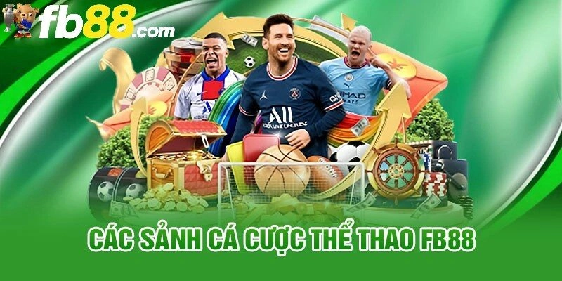 Đa dạng sảnh cược thể thao